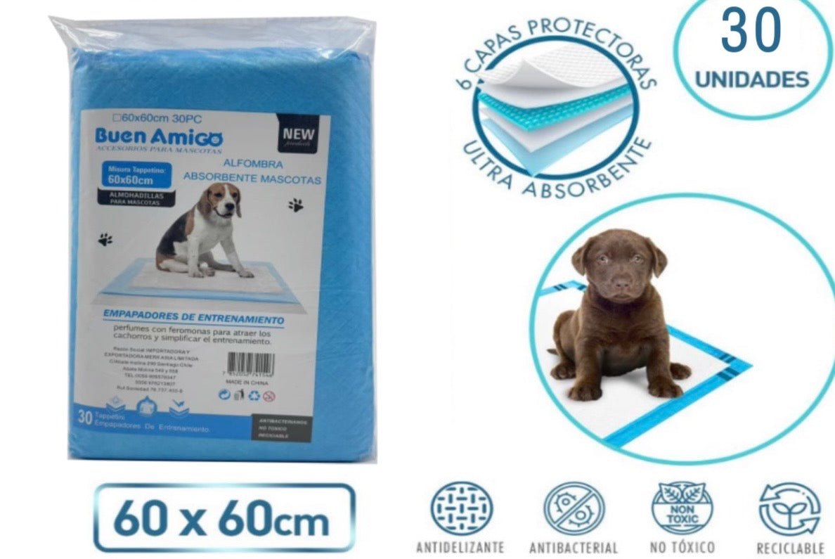 Alfombra Absorbente