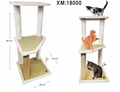 Play para gatos