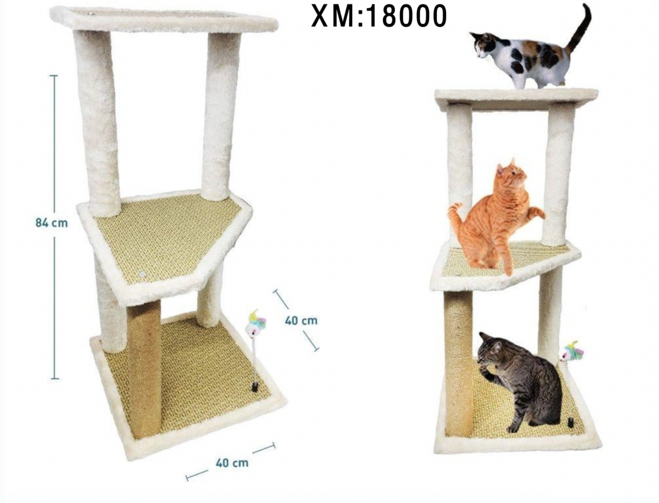 Play para gatos